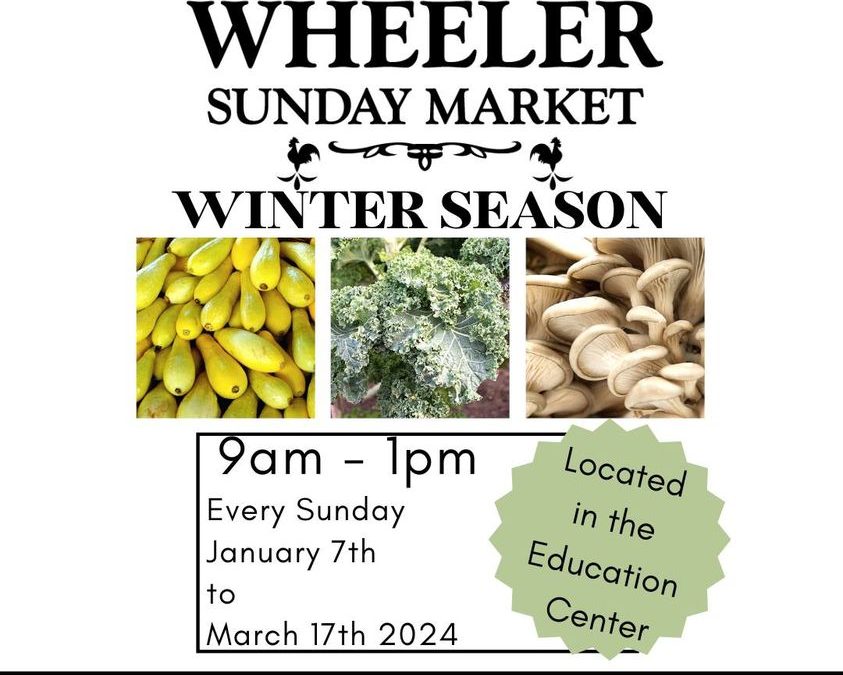 Wheeler Winter Market promo
